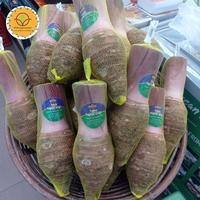 Gambar Talas Papua super asli / pics dari ASSISTANT-05 shop undefined 1 Tokopedia
