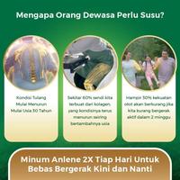 Gambar fResh- Anlene Gold 5X Susu Bubuk Vanilla 3 x 850g-Tulang, Sendi & Otot dari PancenEnakStore undefined 3 Tokopedia