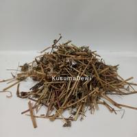 Gambar Daun Patekan Kering / Patikan Kebo / Bidarie / Garden Spurge 100gr dari astutijaya store undefined 1 Tokopedia