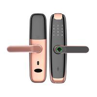 Gambar Cerradura Inteligente Ttlock App Smart Home Security Fingerprint dari Keisyastor undefined 5 Tokopedia
