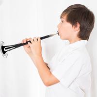 Gambar Chinese Instruments Suona Folk Wind Musical Instrument Key Of F Loud dari Keisyastor undefined 2 Tokopedia