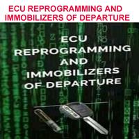 Gambar (IMPORT) Car Truck Diagnostic Tools 5 ECU REPAIR Manuals Repairing Injection Modules in the Workshop DIESEL ELECTRONICS Study Guide dari Rahwara Storess undefined 1 Tokopedia