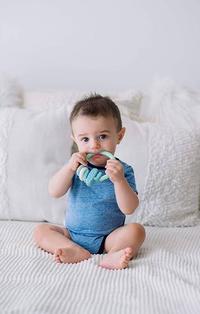 Gambar Promo !! Itzy Ritzy Teether Rattle / gigitan bayi dari TrendyTrove Shop undefined 5 Tokopedia