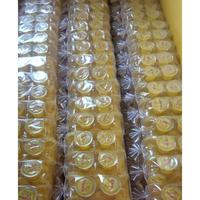 Gambar Manisan Carica Dieng Isi 10 Cup - Isi 12 Cup - 100% Gula MURNI - Carica Khas Dieng Wonosobo - Carica Mini Enak - Isi 6 dari SyonStore undefined 2 Tokopedia