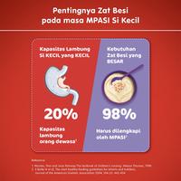 Gambar Bubur Bayi Nestle Cerelac Beras Merah Kacang Hijau Pisang Susu Bubur Bayi Instant 120 gr dari tokaonana euw undefined 5 Tokopedia