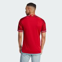 Gambar PAKAIAN PRIA JERSEY BOLA ADIDAS COLOMBIA 22 AWAY JERSEY HB9164 - M dari ADF FACTORY OUTLET BSD SERPONG undefined 4 Tokopedia