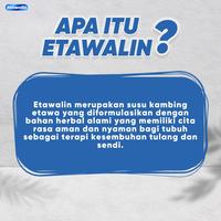 Gambar Etawalin Susu Kambing Etawa 1 Box - Atasi Nyeri sendi Tingkatkan Kepadatan & Kesehatan Tulangi Susu Anti Asam Urat Pegal Linu dari Fecu57 mart undefined 5 Tokopedia