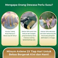 Gambar Gus9 Anlene Gold 5X Habbatussauda Susu Bubuk Dewasa Madu 580G - Terlaris dari Nosh Nook undefined 1 Tokopedia