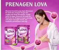 Gambar fl_  Prenagen LOVA 120gr Susu Bubuk Ibu Hamil Menyusui Cokelat - Strawberry dari ernitha_halimw undefined 3 Tokopedia