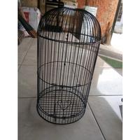 Gambar SANGKAR BESI T3 LOVEBIRD , KONIN , SOGON / RAM BESI LB DAN HELOPET PLECI - LOVEBIRD D 33 dari nDalem Sangkar Solo undefined 4 Tokopedia