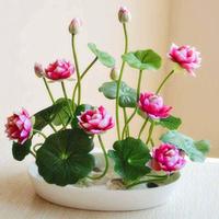 Gambar Biji Benih Bibit Bunga Lotus Mini Seroja Mix Color dari titagardens undefined 2 Tokopedia