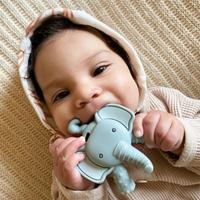 Gambar New Itzy Ritzy | Ritzy Teether dari Toko subur1 undefined 2 Tokopedia