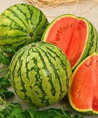 Gambar Bibit Benih 2 Ribuan Sayuran dan Buah Sawi Bayam Kangkung Dll PG SBY dari titagardens undefined 4 Tokopedia