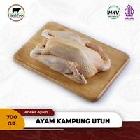 Gambar Ayam Kampung Karkas Utuh | Free-Range Chicken Whole Frozen (1 ekor) dari Hijrahfood Meatshop Tanjung Duren Jakbar undefined 1 Tokopedia