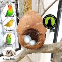 Gambar GLODOK BAJING JAMBUL SARANG BURUNG LOVEBIRD PARKIT SUGAR GLIDER GDJMBL dari Sempati Bird Shop undefined 3 Tokopedia