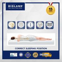 Gambar Bigland Springbed New Platinum Big Pedic - Kasur/Set - FREE BANTAL - 100x200, Kasur dari Mega Divan Jaya undefined 2 Tokopedia