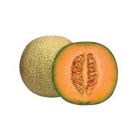 Gambar BUAH ROCK MELON 2200-2300 GRAM dari Hypermart Jambi undefined 1 Tokopedia