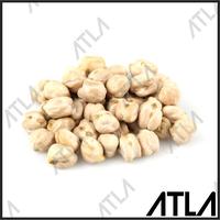 Gambar murah Benih Kacang Arab 250 Gram Bibit Tanaman Biji Pohon Buah Chickpeas dari Toko Wangsit 21 undefined 1 Tokopedia