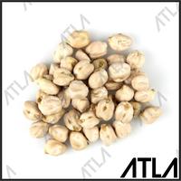 Gambar murah Benih Kacang Arab 250 Gram Bibit Tanaman Biji Pohon Buah Chickpeas dari Toko Wangsit 21 undefined 3 Tokopedia