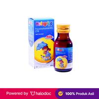 Gambar Hufagrip Pilek Sirup 60 ml - Obat Batuk & Flu - Halodoc dari Apotek Halomedika Kp Rambutan undefined 1 Tokopedia