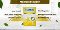 Gambar Top Quality Etawalin - Susu Atasi Rematik / Asam Urat Paket / Kolestrol 10 Box New dari slavaablue undefined 3 Tokopedia