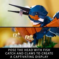 Gambar BARANG TERLARIS LEGO 10331 ICONS KINGFISHER BIRD BERKUALITAS dari Tamboyang Store undefined 2 Tokopedia