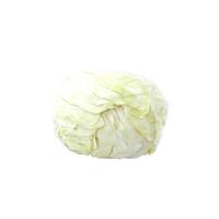 Gambar KOL PUTIH SEGAR 1200-1300 GRAM dari Hypermart Cianjur undefined 1 Tokopedia