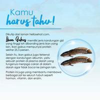 Gambar u SR12 Susu Kambing Etawa 600gr 200gr Susu Go milku Bubuk Vanial dari Ananda Milk undefined 4 Tokopedia