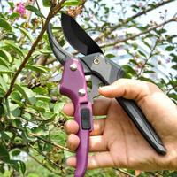 Gambar Fruit Picking Shears Anti-slip Handle Shears Gardening Tool Flower Trimming Scissors With Labor-Savi dari toko bababio undefined 2 Tokopedia