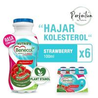 Gambar SUPERRR| Nutrive Benecol Strawberry 6x100ml dari STOREROYAN8281 undefined 3 Tokopedia