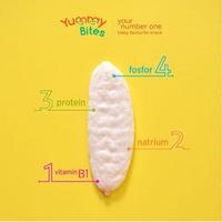 Gambar Moms- YUMMY BITES CRACKER 50GR dari dadanura undefined 4 Tokopedia