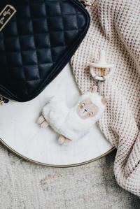 Gambar Itzy Ritzy | Sweetie Pal - Pacifier & Stuffed Animal dari Prima Jaya Lestari Olshop undefined 2 Tokopedia