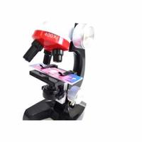 Gambar Mikroskop untuk edukasi pembesaran 1200x untuk melihat bakteri kapang jamur tingkat pembesarannya 100x, 400x hingga 1200x / Mikroskop Laboratorium Digital Murah / Microscope digital service hp dari wargab cell undefined 2 Tokopedia