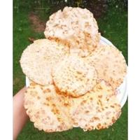 Gambar Ready Siap Kirim!! Emping Jengkol / Kerupuk Jengkol Mentah Super Asli Bogor 200 Gram dari JUNAJISTORE undefined 3 Tokopedia