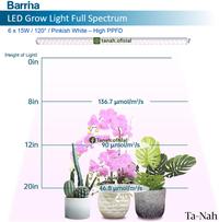 Gambar Grow Light Full Spectrum LED Barrina T5 60cm 15W 120° Pinkish White dari Xeena98 Store undefined 5 Tokopedia