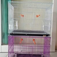 Gambar sangkar besi kotak octagon dari LovelyStore10 undefined 2 Tokopedia
