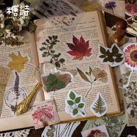 Gambar NEW 𝐒02 Journal Kit 60pcs Series Ruang Memori Retro Aesthetic untuk Scrapbook Jurnal School Supplies Creative Stationery DIY Deco Sticker Stiker Bujo / scrapbook /journal junk / Jurnal / Buku Diary / sticker Retro / miloli / gwiyeo / sticker tumblr - UTOPIA GARDEN dari AamAminahhh33 undefined 4 Tokopedia