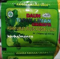 Gambar [PROMO COD] Daun Tapak Liman Ijo Renceng Kapsul Original Jamu Asam Urat Nyeri Sendi dari Anya Heroic undefined 2 Tokopedia