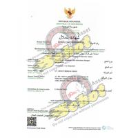 Gambar Paket Usaha 12 Bks Baso Aci Garut Abah Aceng ( Bocigar ) dari LiL Mart undefined 4 Tokopedia