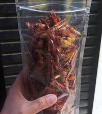 Gambar Jangkrik Goreng Renyah Jangkrik Goreng Krispy Belalang Goreng Makanan dari Huyaha undefined 1 Tokopedia