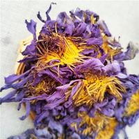 Gambar Insomnia / 10gr Dried Blue Lotus / Nymphaea Caerulea / Bunga Lotus Biru 10gr Sa dari Serbuk Alam undefined 2 Tokopedia