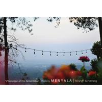 Gambar Lampu Gantung / Lampu Cafe / Lampu Kafe / Lampu Taman / Lampu Pesta / Fitting Tahan Air Outdoor dari taromkemeja546 undefined 2 Tokopedia