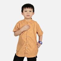 Gambar Odza Baju Kemeja Imlek Kerah Shanghai Koko Anak Laki Lengan Pendek Vanhart 2-12 Tahun Kuning Mustard - 2 dari Odza Classic undefined 4 Tokopedia