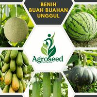 Gambar Benih Unggul Buah Buahan (Melon Madu, Semangka Manis, Pepaya California, Mentimun, Labu) Bibit Buah Terbaik Setiap Jenisnya dari SumantoJB118 undefined 1 Tokopedia