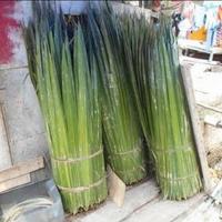 Gambar Daun Nipah atap dahon Rumbia lebaran/gulung + Bambu 1 mtr (1Kg) dari Mustika Bamboo undefined 1 Tokopedia