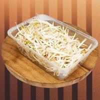 Gambar Food Prep Sayur Potong Box - Daun Ginseng dari CateringMalangDmt. undefined 4 Tokopedia