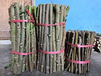 Gambar TERMURAH Jual Bibit Singkong Papua Telo Papua Paket 15 Batang Bibit Pakan Ternak Nutrisi Tinggi - Tua Super 20 CM dari Rampak Gendar undefined 4 Tokopedia