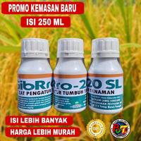 Gambar ZPT GIBRO 20-SL 250 ML/ Pupuk Bahan Aktif Asam Gibberellat 20% /Zat Pengatur Tumbuh Tanaman / Pupuk Pestisida/ Pupuk zpt cair/ Pupuk Nutrisi Vitamain Tanaman dari Dede2159 undefined 1 Tokopedia