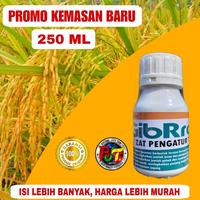 Gambar ZPT GIBRO 20-SL 250 ML/ Pupuk Bahan Aktif Asam Gibberellat 20% /Zat Pengatur Tumbuh Tanaman / Pupuk Pestisida/ Pupuk zpt cair/ Pupuk Nutrisi Vitamain Tanaman dari Dede2159 undefined 3 Tokopedia