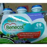 Gambar Nutrive Benecol Kolesterol 6 Botol 100ml Rasa Blackcurrent Suplemen dari tatan kids shop undefined 3 Tokopedia